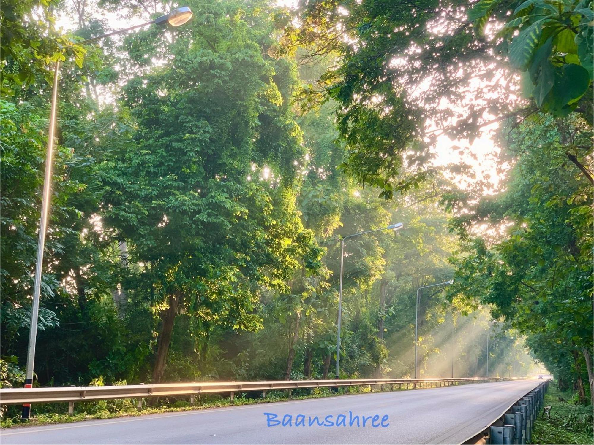 Baansahree Bauernhof Lan Sak