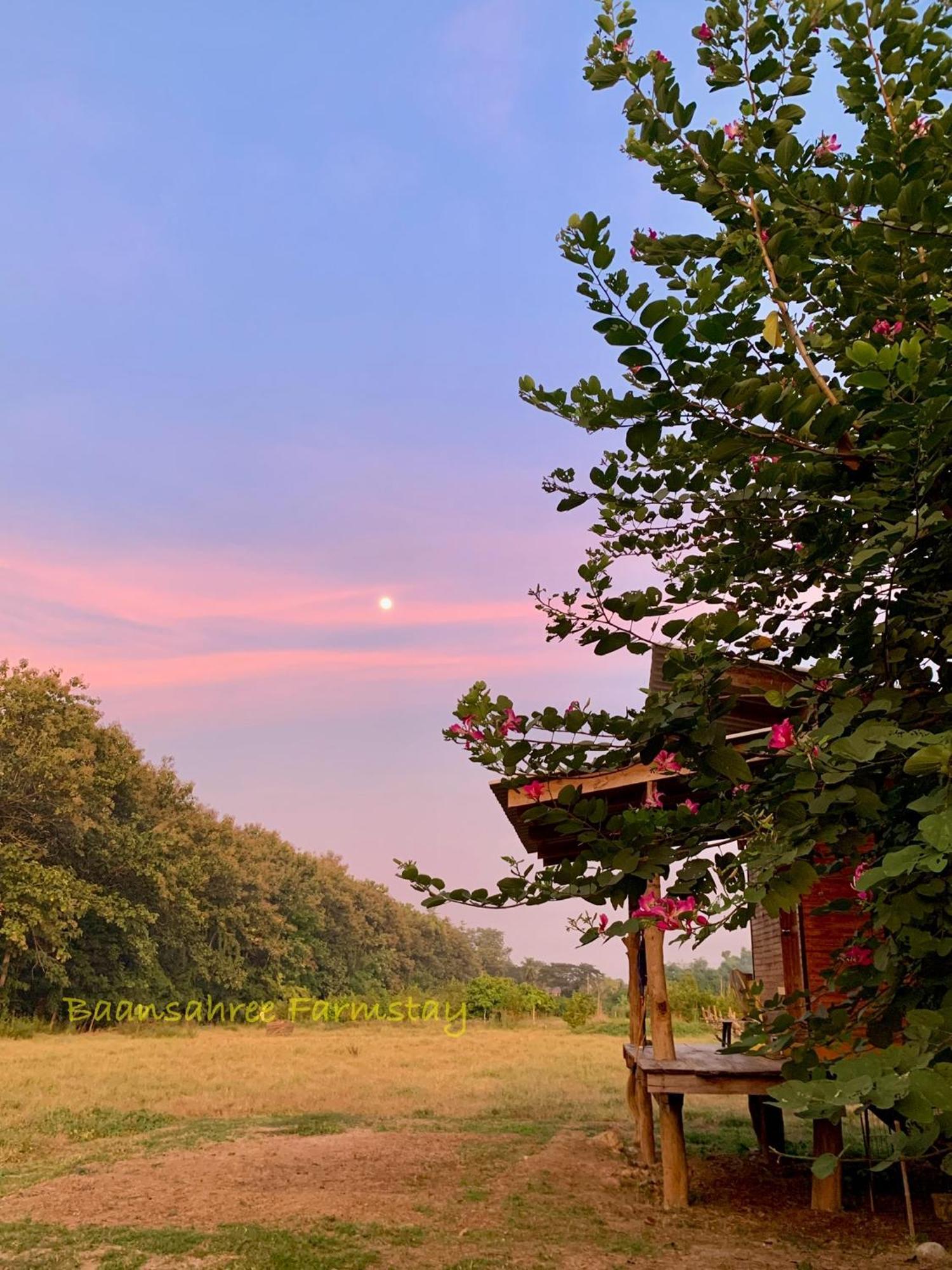 Baansahree * Lan Sak