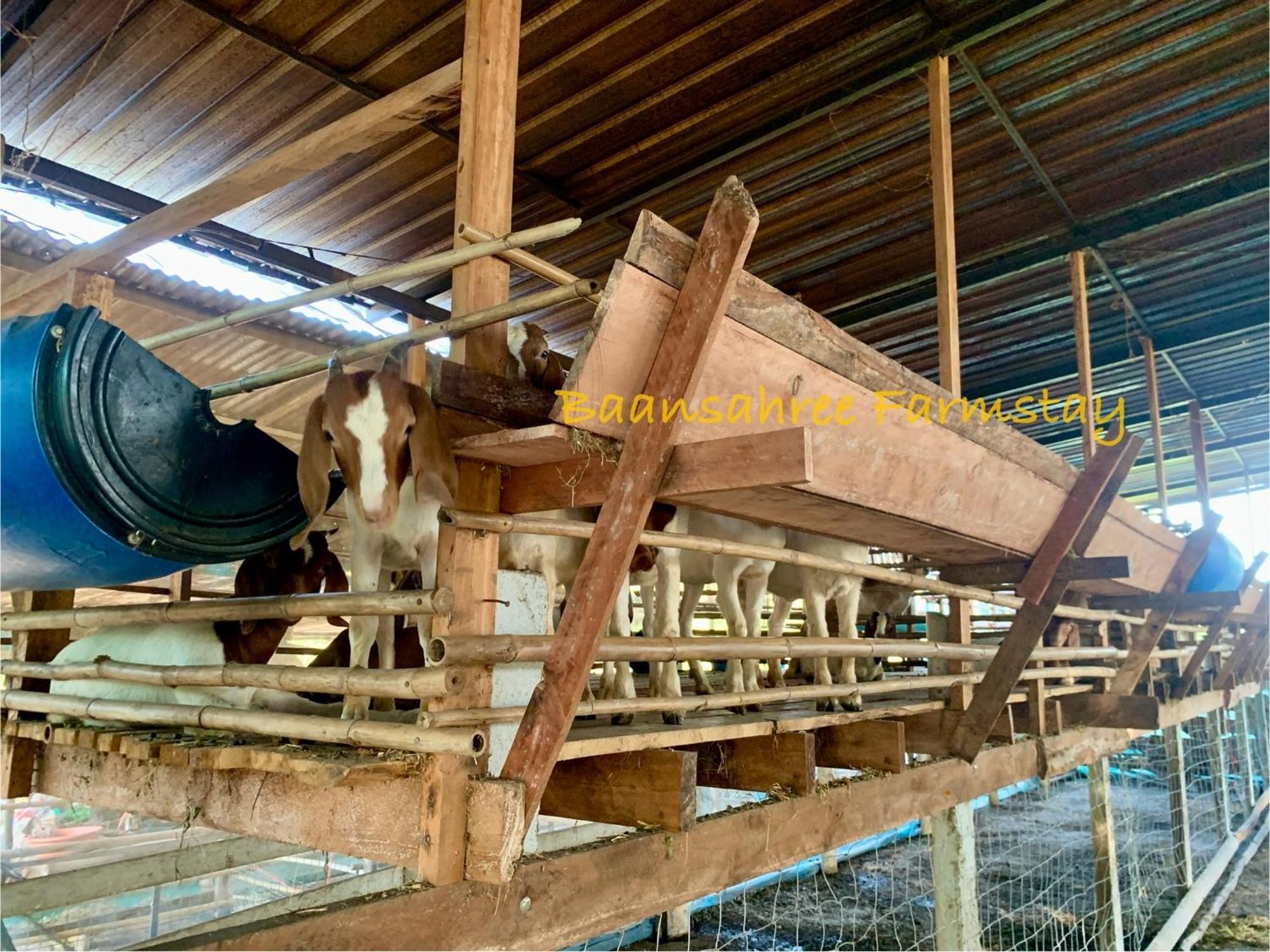 Baansahree Bauernhof Lan Sak